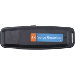 Grabadora de voz de audio digital USB portátil recargable U-Disk Dictie6338 - Imagen 1 de 6