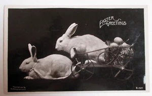 Vtg. 1900s Rabbit, Bunny, Egg Cart RPPC Real Photo Postcard Greeting Easter - Picture 1 of 2
