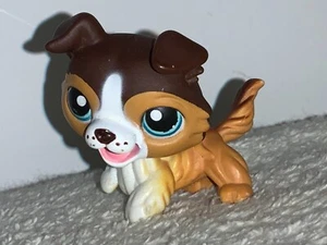 2006 Littlest Pet Shop-Brown Collie Dog, Blue Eyes, Barking, Raised Paw Magnet - Picture 1 of 8