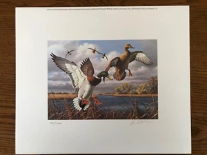 1986 New York State Migratory Bird & Conservation Stamp And Print By David Maass - Picture 1 of 4