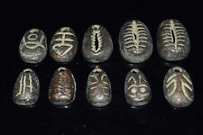 Collect 10pc Chinese Bronze *Ants nose money* Coin Old Dynasty Antique Currency