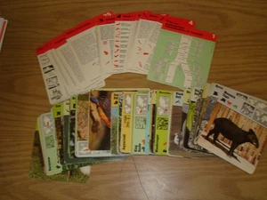 1975 Rencontre Editions lot of 200 animal cards Vintage/photo cards/homeschool + - Picture 1 of 6