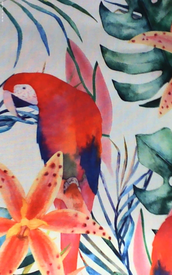 SUMMER PARADISE - Terrasol Indoor/Outdoor Design - Image 1 of 1