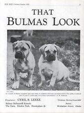 BULLMASTIFF DOG BREED KENNEL ADVERT PRINT PAGE BULMAS KENNEL OUR DOGS 1954