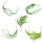 Artificial Flower String of Pearls Wicker Wall Hanging Succulents Plants