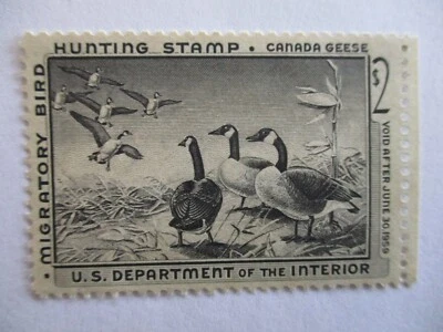 US Stampe, BOB, Ducks RW25, MNG, well centered - Imagem 1 de 2