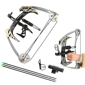 25lbs Mini Compound Bow Set 14" Triangle Bow Arrows Archery Hunting Fishing
