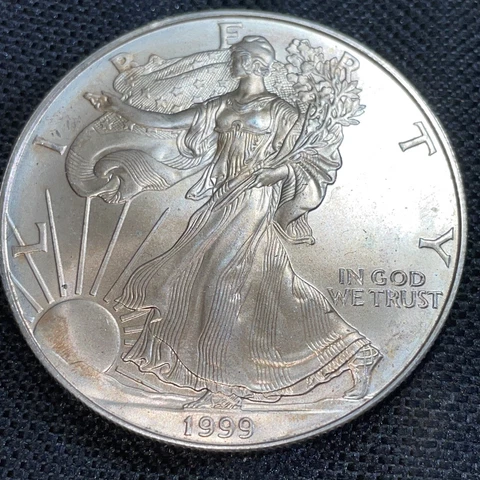 1999 Liberty Walking American Silver Eagle Dollar Coin 1001 Cover