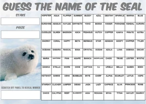GUESS THE NAME OF SEAL FUNDRAISING SCRATCHCARD EVENT 100 Squares Game Charity - Picture 1 of 1