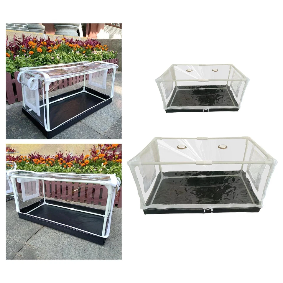 Mushroom Growing Tent Mushroom Fruiting Chamber Folding Mushroom Container - Bild 1 von 1