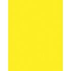 Pacon Neon Bond Paper, 24 lb., 100 Sheets, 8-1/2"x11" , Neon Yellow (PAC104316)