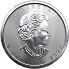 2022 1 oz Canadian Silver Maple Leaf $5 Coin 9999 Fine Silver BU - In Stock