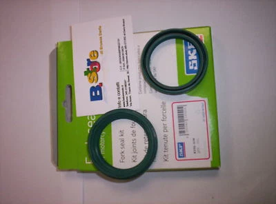 PARAOLIO PARAPOLVERE FORCELLA SKF SACHS 43 APRILIA CAPONORD 1200 + FILTRO ARIA - Immagine 1 di 2