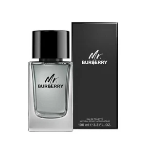 Burberry Mr Burberry Eau de Toilette 100 ml For Men NEW. - Picture 1 of 1