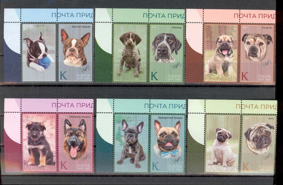 Transnistria 2023 Razas de perros Perros 6v**MNH + 6 etiquetas Foto 1 de 1