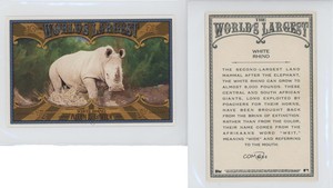 2021 Topps Allen & Ginter's World's Largest Boxloaders White Rhino #WLB-8