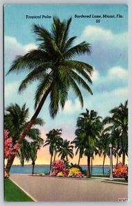 Tropical Palm Tree Bordered Lane Miami Florida Postcard Linen - Picture 1 of 2