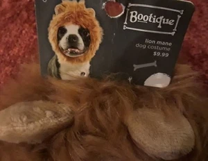 PetCo Bootique L/XL LION MANE Dog Halloween Costume Tan Faux Fur Hood Large Hat - Picture 1 of 8