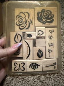 Stampin Up Two-Step Stampin Rose Rhapsody 2000 Versatile Set - Picture 1 of 2