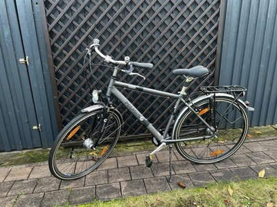 Pegasus Herrenfahrrad - Bild 1 von 4