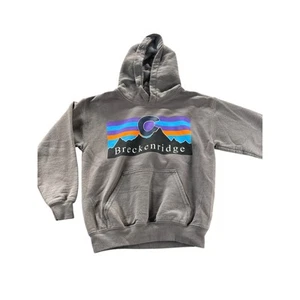 Gildan Gray Graphic Breckenridge Colorado Pullover Hoodie Youth Size Small - Picture 1 of 6
