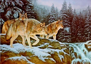 Artist Rosemary Millette Birthday Wolves Winter Wildlife Religious Greeting Card