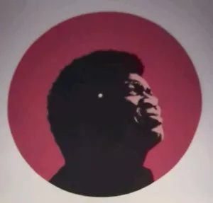 Charles Bradley Slipmat For Turntable/Record Player Vinyl Records, Daptone - Picture 1 of 2