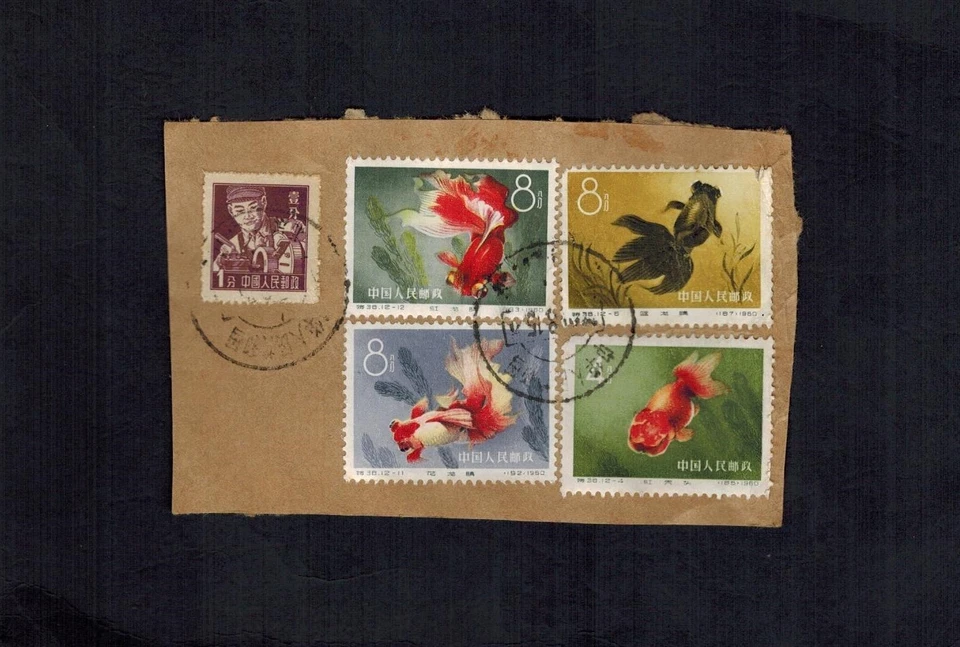 Beautiful Piece of Cover S38 Gold Fish 4, 6, 11, 12 Sc 509, 511, 516, 517, R8 A - Image 1 of 1