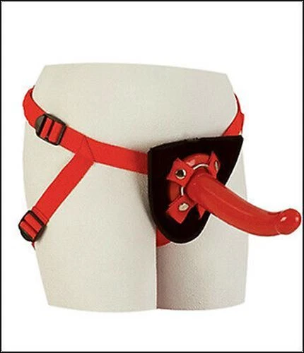 Sophia's Red Rider Foto 1 de 1