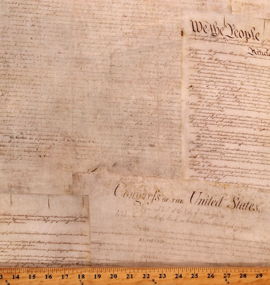 108" Algodón We the People Constitución Preámbulo Tela Impresión por Yarda D262.06 Foto 1 de 1