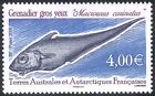 FSAT/TAAF 2008 "Grenadier Gros Yeux"/Fish/Marine/Nature/Wildlife 1v (n30224)