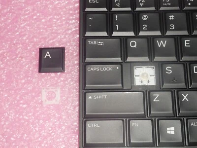TAPA DE LLAVE ÚNICA + CLIP DE PLÁSTICO PARA DELL Alienware 15 R3 13 R3 NSK-ED0BC HH53H Foto 1 de 3