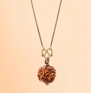 Isha Life Adiyogi Rudraksha with Copper Chain Mala Necklace Pendant Five Faced - Bild 1 von 4