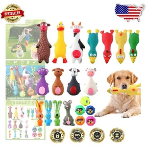 Interactive Dog Toy Set - 20 Assorted Squeaky Latex & Rubber Balls for Puppies - Picture 1 of 9