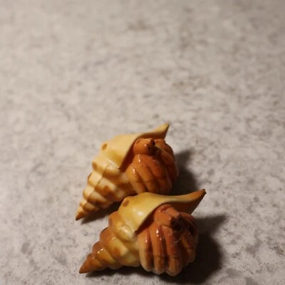 2 PCS Hermit Crab Shells Plastic Seashells - Image 1 of 4