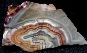 S132 ~ 0.55 oz Small Slab of Crazy Lace Agate ~ Chihuahua, Mexico - Picture 1 of 9