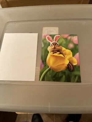Avanti Press Chipmunk Bunny in Tulip Easter Card Greeting - Multicolor - Image 1 of 3