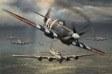Allies in Arms  by John Shaw aviation art signed by 7 Spitfire & B17 veterans