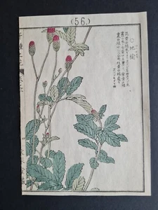 Antiker japanischer Holzschnitt von 1890 - Korean Burnet - Kono Bairei - Bild 1 von 3