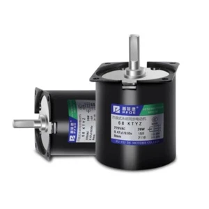 Low Speed Micro AC 220V Permanent Magnet Synchronous Motor Deceleration Motor - Picture 1 of 31
