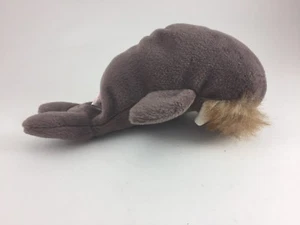 TY BEANIE BABIES JOLLY THE WALRUS 7" LONG NO HEART TAG - Picture 1 of 4