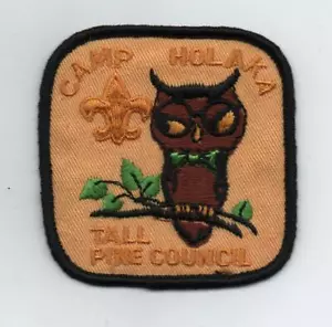 Parche divertido de búho Camp Holaka (Tall Pine Council) - Imagen 1 de 1