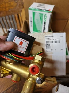 Emerson Asco EF8300G081RU Red-hat 3w 120v-ac 1/4in Npt Solenoid Valve 75psi - Picture 1 of 10