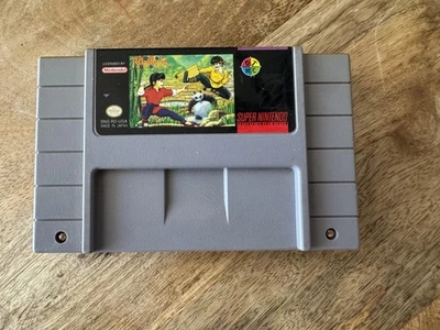 Ranma 1/2 Super Nintendo SNES Game Cartridge Japan Anime Fighting Rare - Image 1 of 2