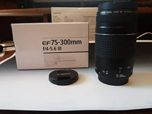 [訳あり] Canon EOS 60D DSLR & EF 75-300mm Canon EF 75-300mm f/4-5.6 III Telephoto Zoom Lens for Canon SLR