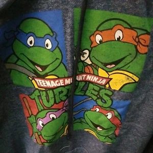 NEW Teenage Mutant Ninja Turtles Hoodie Medium Adult Pullover - Picture 1 of 4