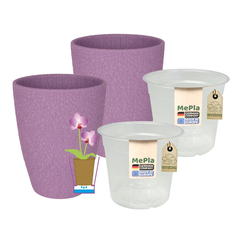 MePla - 2 Stück - Orchideenübertopf 500 lizzard + Pflanztopf - Bild 1 von 4