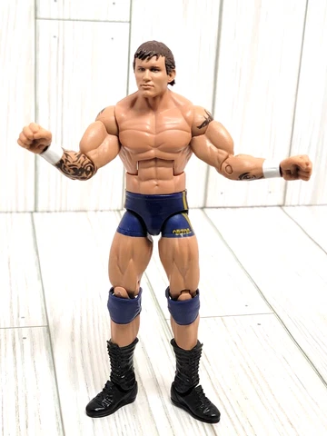 WWE Action Figure Randy Orton 2011 Wrestler 7" Blue shorts AS-IS Cover