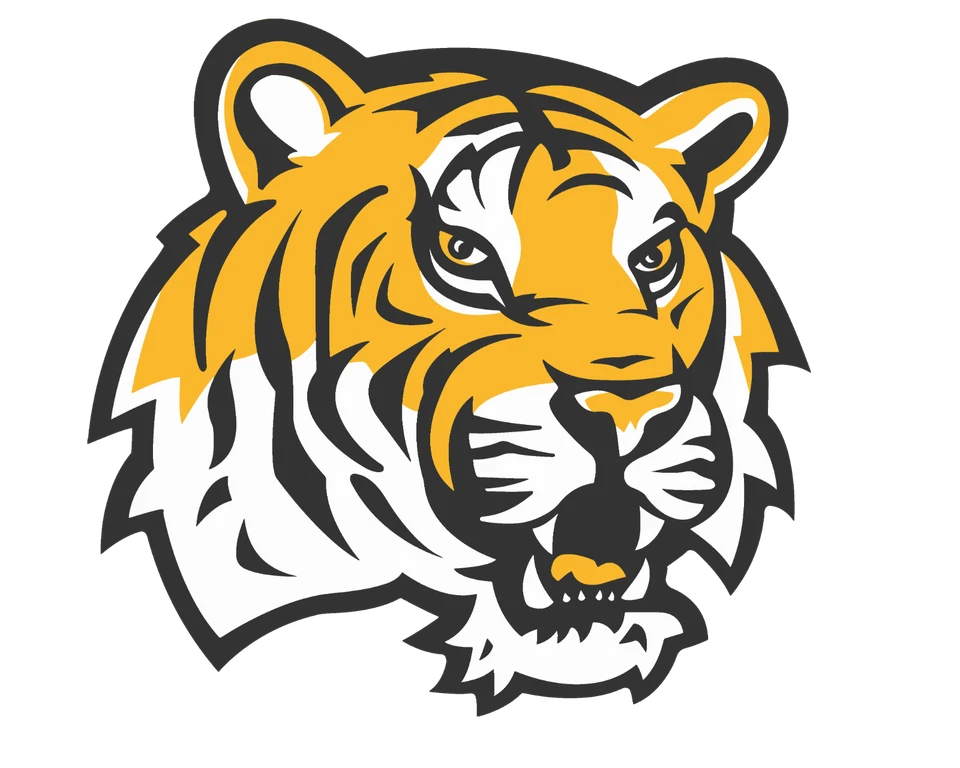 LSU Vinyl Sticker/Decal -NCAA -College Football - Tigers - Image 1 of 3