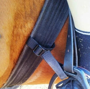 Pair STIRRUP to GIRTH STRAPS lower leg training aid, adjustable, all colours - Picture 1 of 55